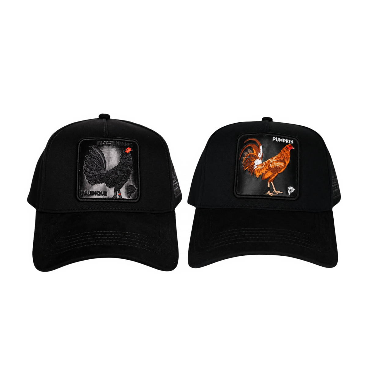 Full Fall Collection